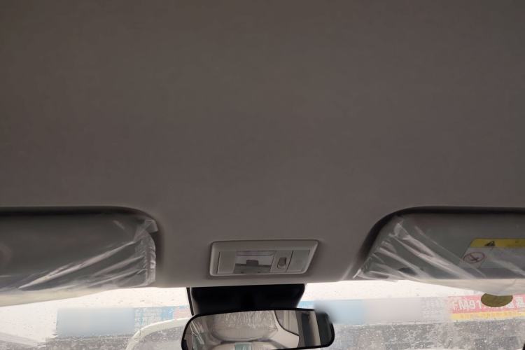 Used Qiyuan Lumin 2023 301km Honey Dew Edition
