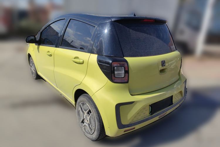 Used SOL E10X 2022 Flower Fairy Design Four-Leaf Clover Rear Left 45 Deg