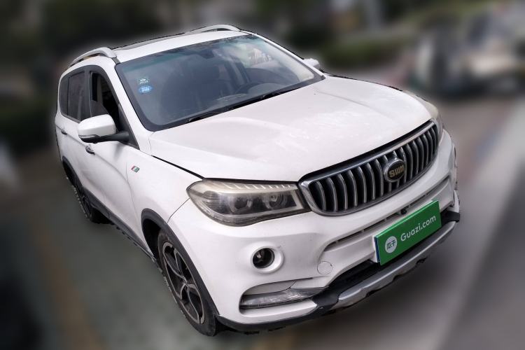 Used SWM X7 2017 1.5T Automatic Smart Enjoyment Version 7 Seats