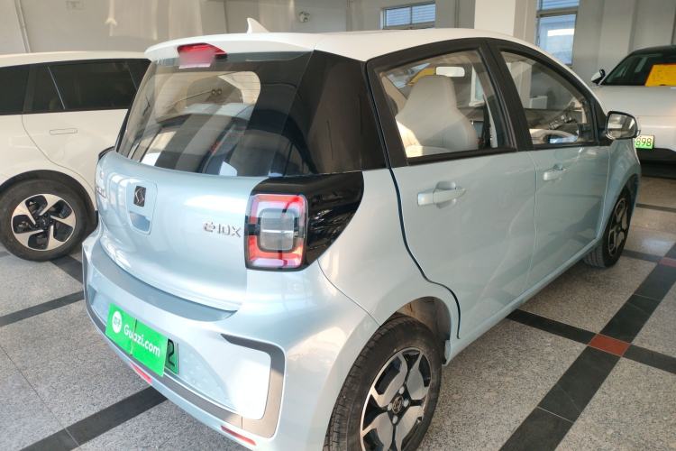 Used SOL E10X 2022 Flower Fairy Style Baby's Breath
