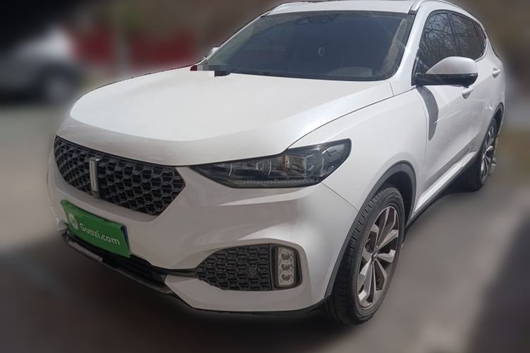 Used Wey VV6 2020 2.0T Two-Wheel Drive Smart Protection+