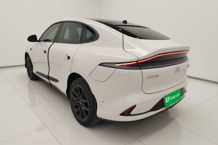 Used IM LS6 2023 Max Long-Range Version