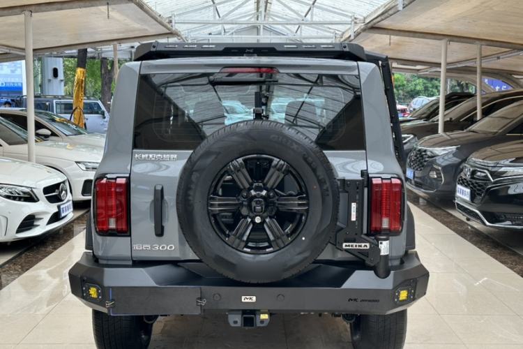 Used Tank 300 2025 2.0T Conqueror Exterior 4