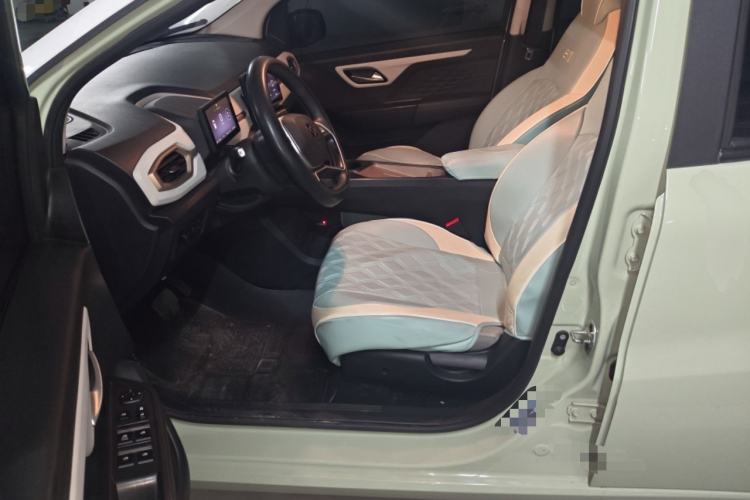 Used SOL E10X 2022 Flower Fairy Design Four-Leaf Clover