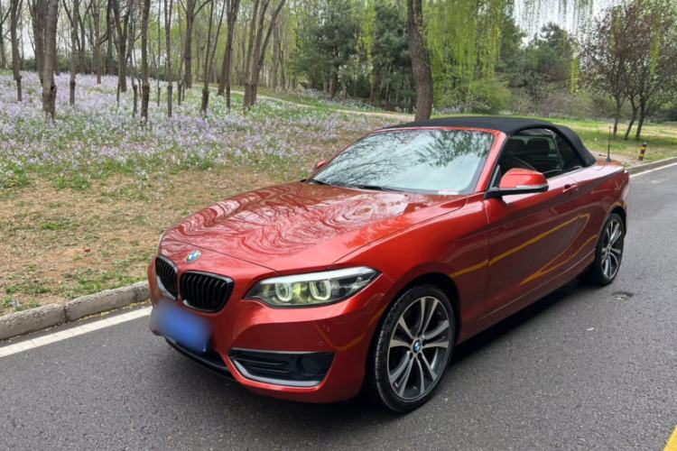 Used BMW 2 Series 2019 225i Convertible Coupe Sports Design Package