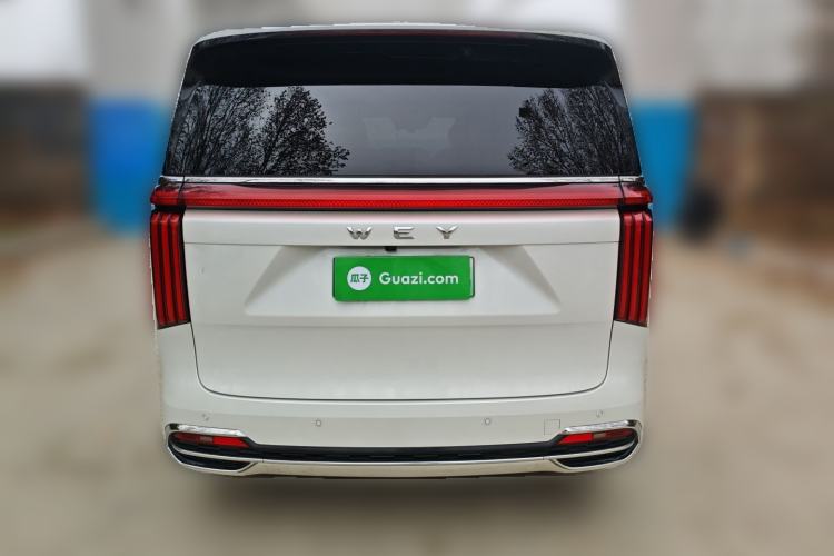 Used Wey Gaoshan 2023 Four-Wheel Drive Flagship Edition