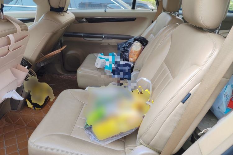 Used Mercedes-Benz R-Class 2009 R 300 L Luxury Model Left Rear Seat