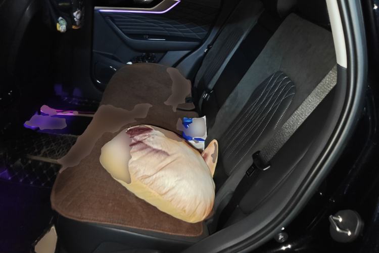 Used Hongqi HS5 2022 Revised Version 2.0T Smart Connect Flagship Edition