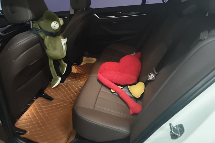 Used BMW 5 Series 2020 525Li Luxury Package Left Rear Seat