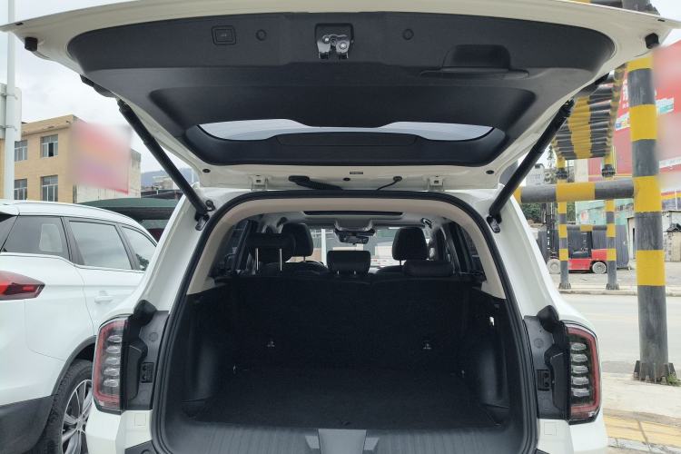 Used Haval DARGO 2024 2.0T DCT Chinese Rural Dog Edition