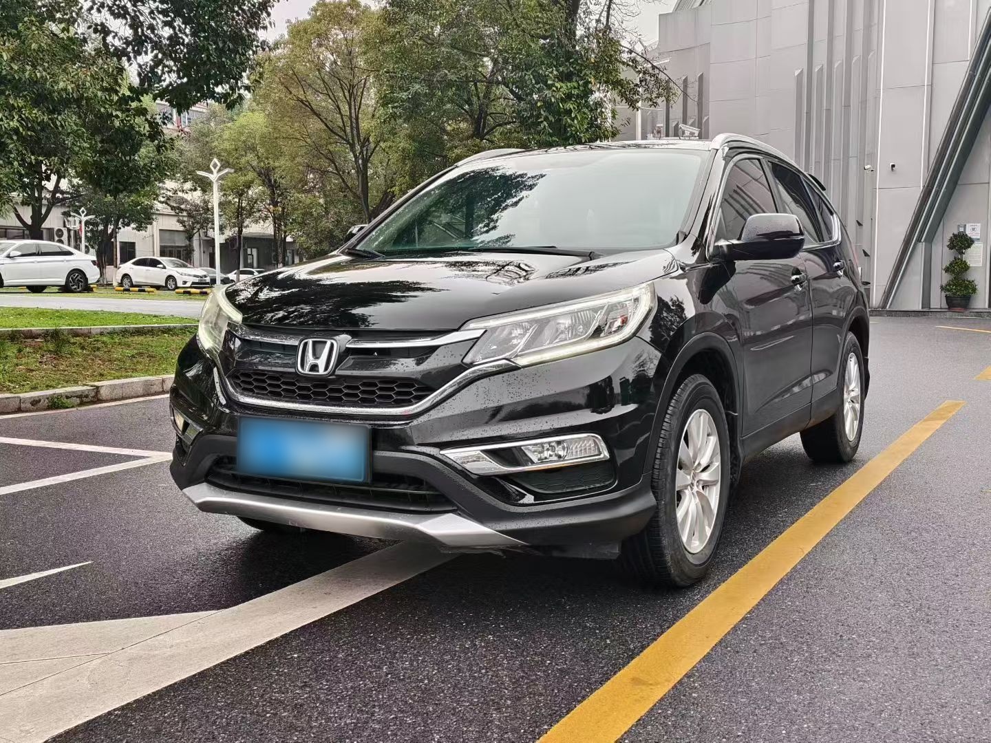 Parte inferior delantera