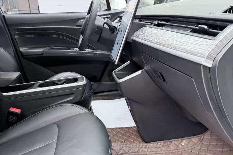 Used NETA AYA 2023 401 Lite Exterior 12