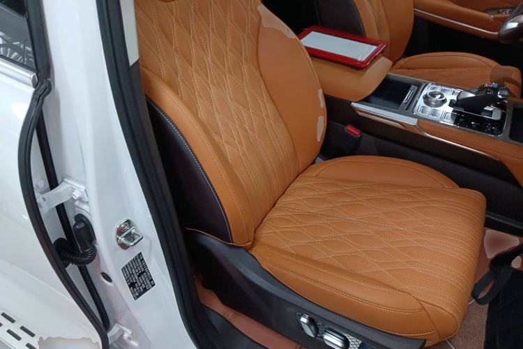 Used Tank 500 New Energy 2025 Hi4-Z
