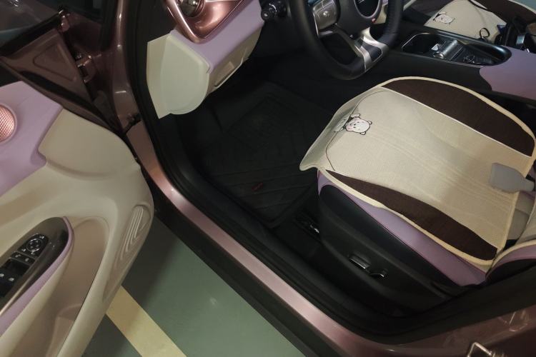 Used BYD Dolphin 2023 420 km Fashion Edition Driver Seat