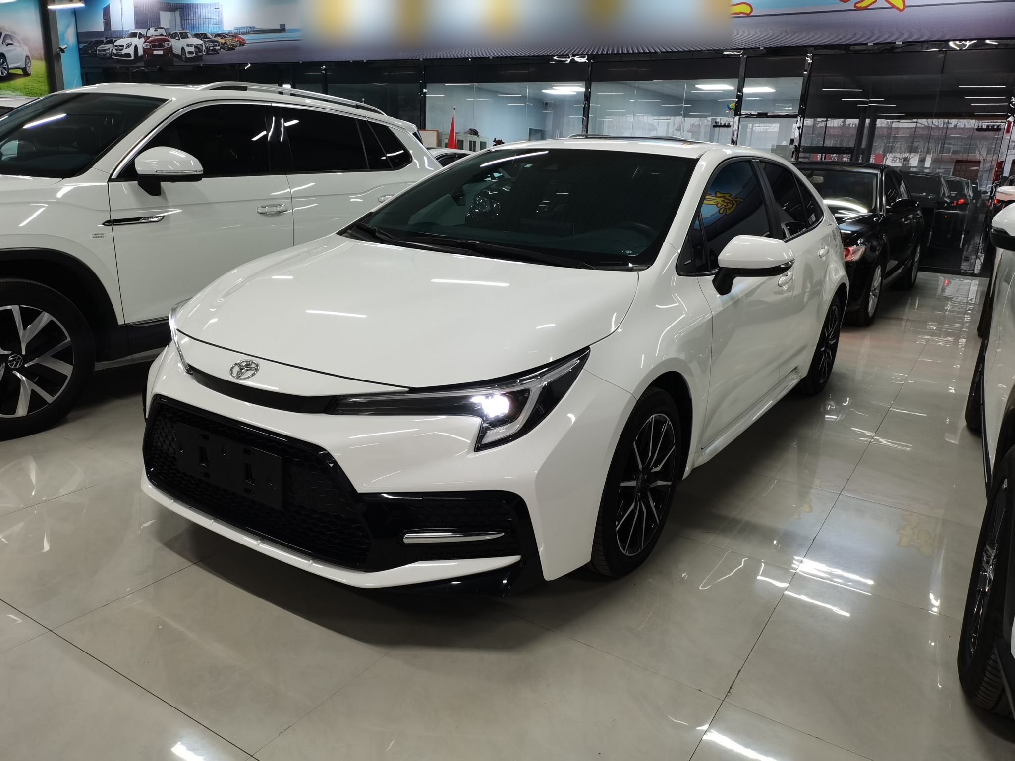 تحت مقدمة السيارة