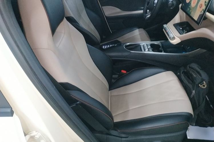 Used BYD Dolphin 2023 420 km Fashion Edition Right Front Seat