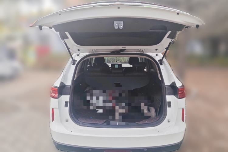 Used Haval H6 2021 3rd Generation 1.5T Automatic Two-Wheel Drive Max