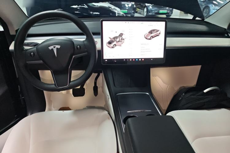 Used Tesla Model Y 2021 Standard Range Rear-Wheel Drive Version
