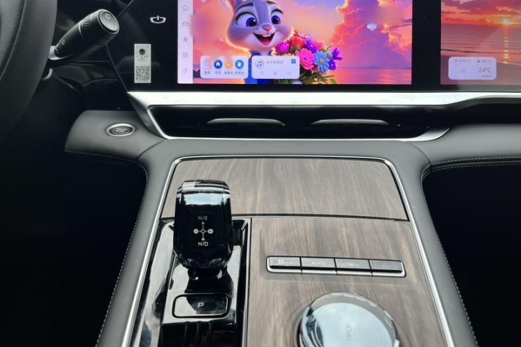 Used Geely Auto Monjaro L 2025 Dongfang Yao 2.0TD Automatic Lanxing Edition Audio And AC Panel