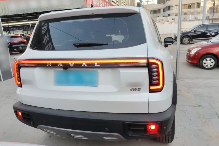 Used Haval DARGO 2024 2.0T DCT Chinese Rural Dog Edition