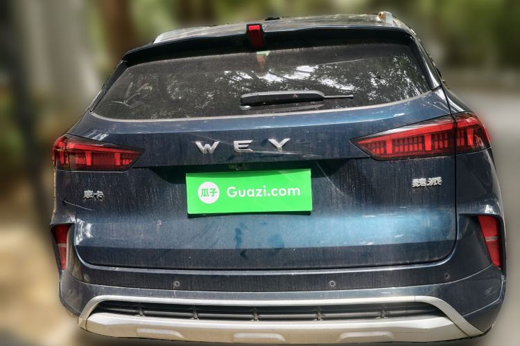 Used Wey Mocha 2021 2.0T Two-Wheel-Drive Premium Edition
