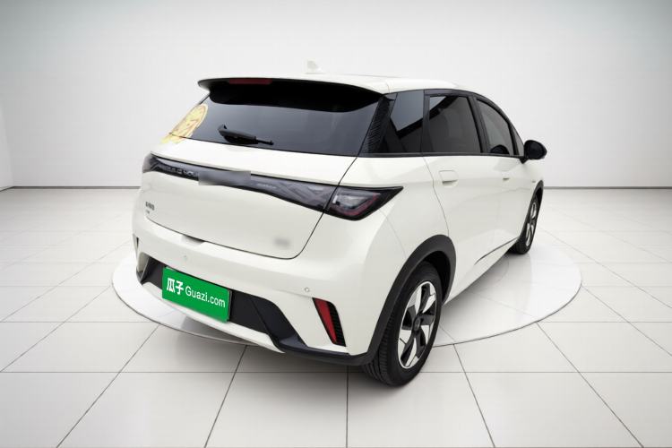 Used BYD Dolphin 2024 Honor Edition 420km Fashion Version Rear Right 45 Deg