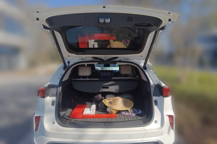 Used Wey Mocha 2021 2.0T Two-Wheel Drive Special Edition