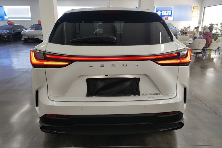 Used Lexus NX 2024 350h All-Wheel Drive Adventure Edition Rear