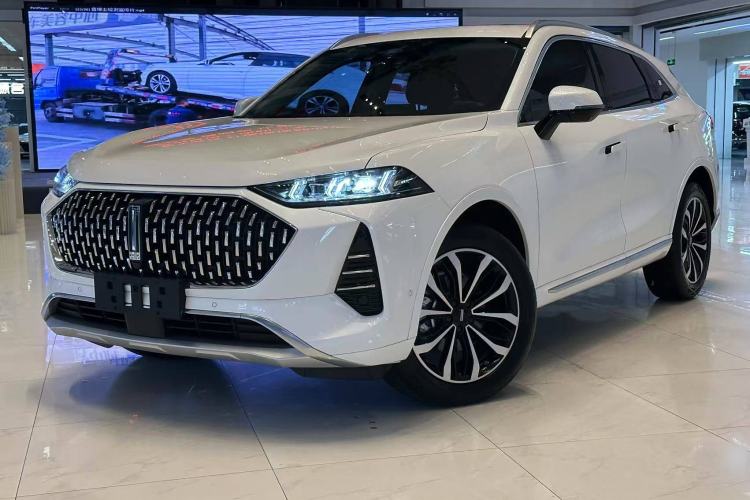 Used Wey Mocha 2021 2.0T Two-Wheel-Drive Premium Edition
