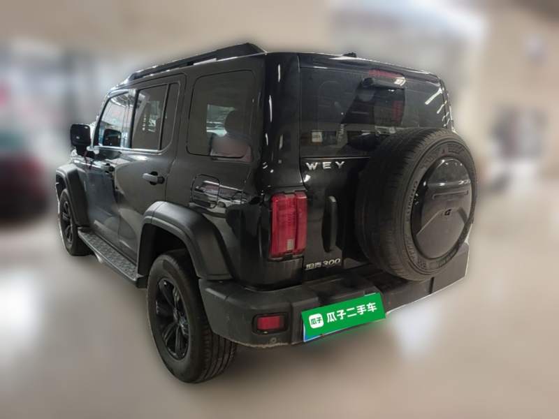 Used Tank 300 2021 Off-Road Edition 2.0T Conqueror — 4