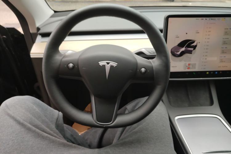 Used Tesla Model Y 2023 Long-Range All-Wheel-Drive Version
