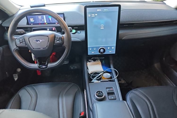 Used Ford Mustang Mach-E 2021 AION Y Plus Rear-Drive Luxury Edition (Long Range)
