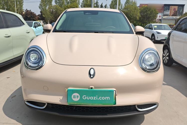 Used ORA Good Cat 2024 401 km Luxury Version Front