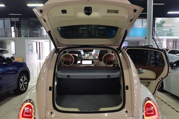 Used ORA Ballet Cat 2023 401 km Luxury Version