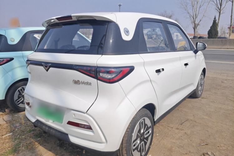 Used Cowin October 2025 Mate 300km Surfing Edition