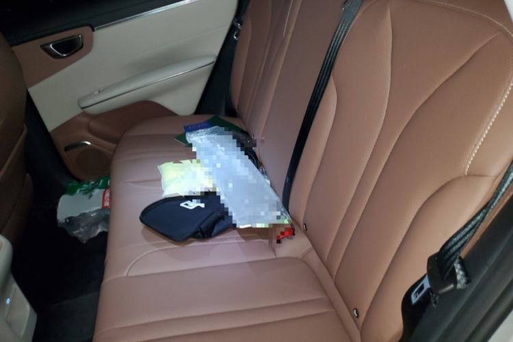 Used Wuling Bingo S 2025 Model 325km Deluxe Edition Interior 4