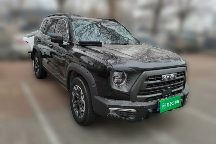 Used Haval DARGO 2024 2.0T DCT Chinese Rural Dog Edition
