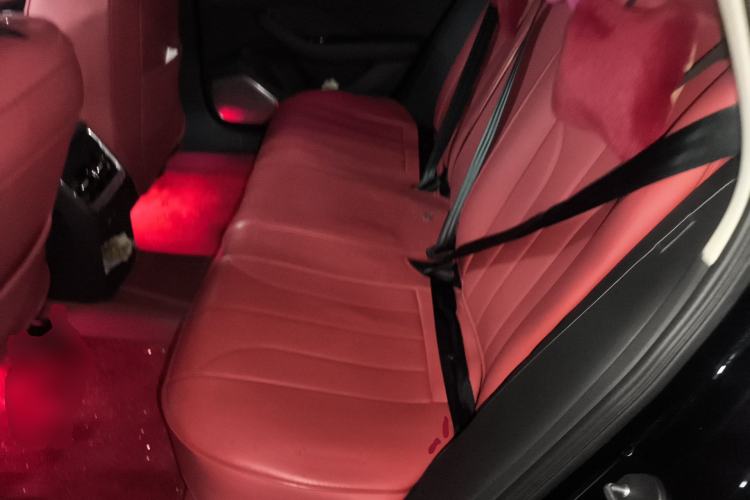 Used Hongqi H5 2023 2.0T Automatic Smart Connect Flagship Edition Left Rear Seat