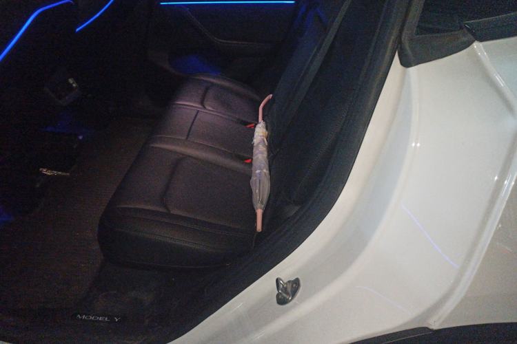 Used Tesla Model Y 2022 Rear-Wheel-Drive Version
