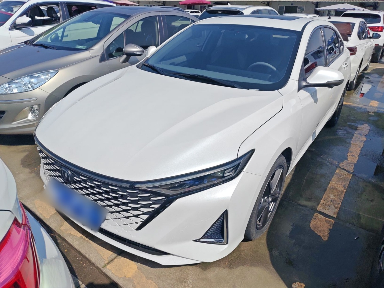 Parte inferior delantera