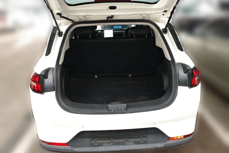 Used NETA AYA  Trunk