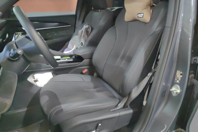 Used Geely Auto Monjaro L 2024 2.0TD High-Power Automatic Two-Wheel Drive Skyline Edition
