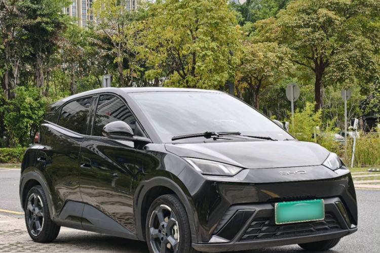 Used BYD Seagull 2023 Free Edition
