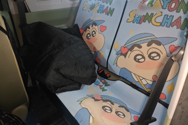 Used Geely Galaxy Panda 2025 210km Panda Rider