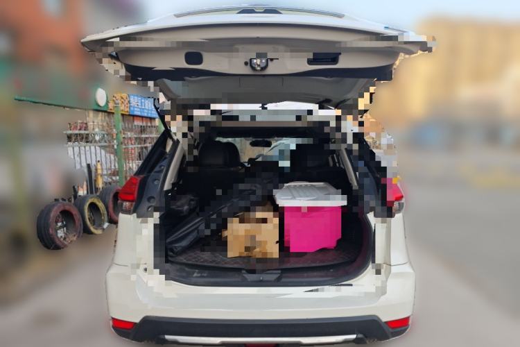 Used Nissan X-Trail 2017 2.0L CVT Comfort Edition 2WD
