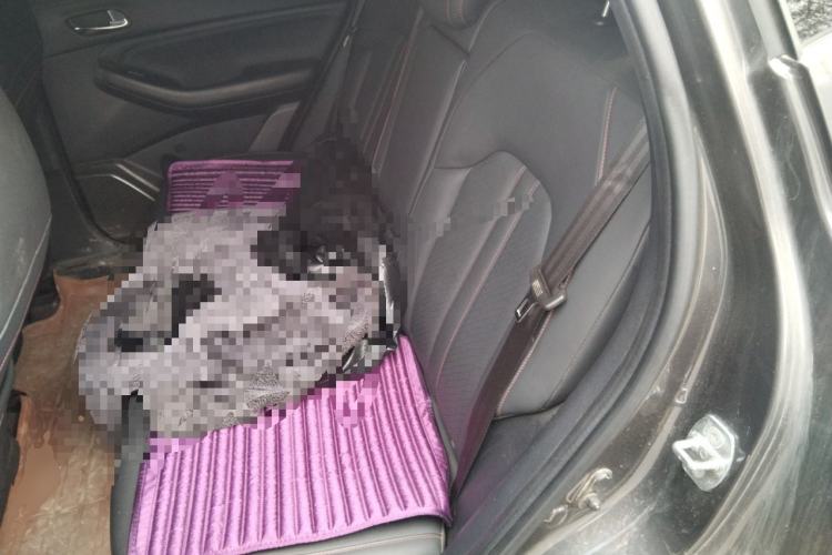 Used GAC Trumpchi GS4 2020 270T Manual Luxury Edition
