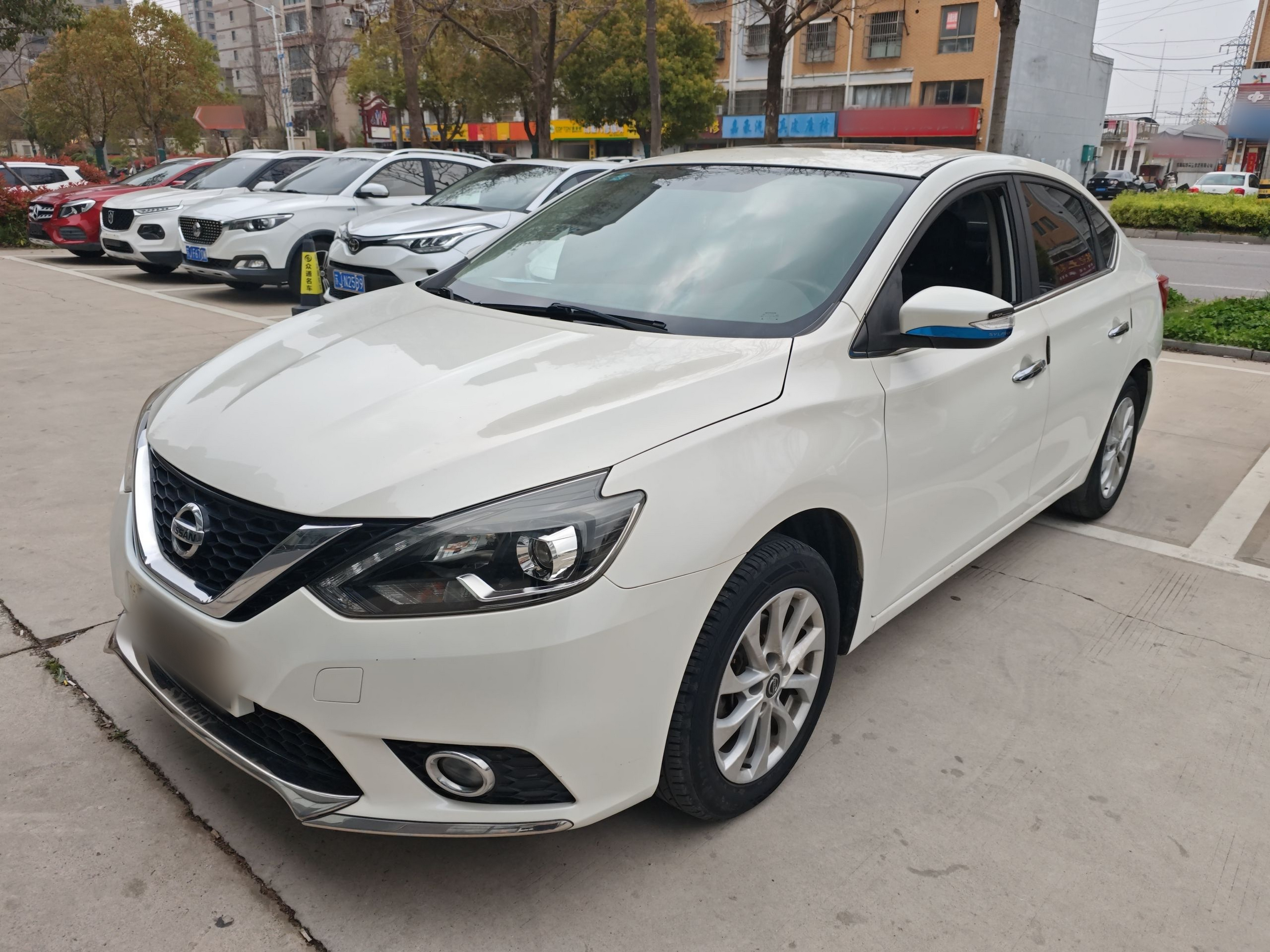 Parte inferior delantera