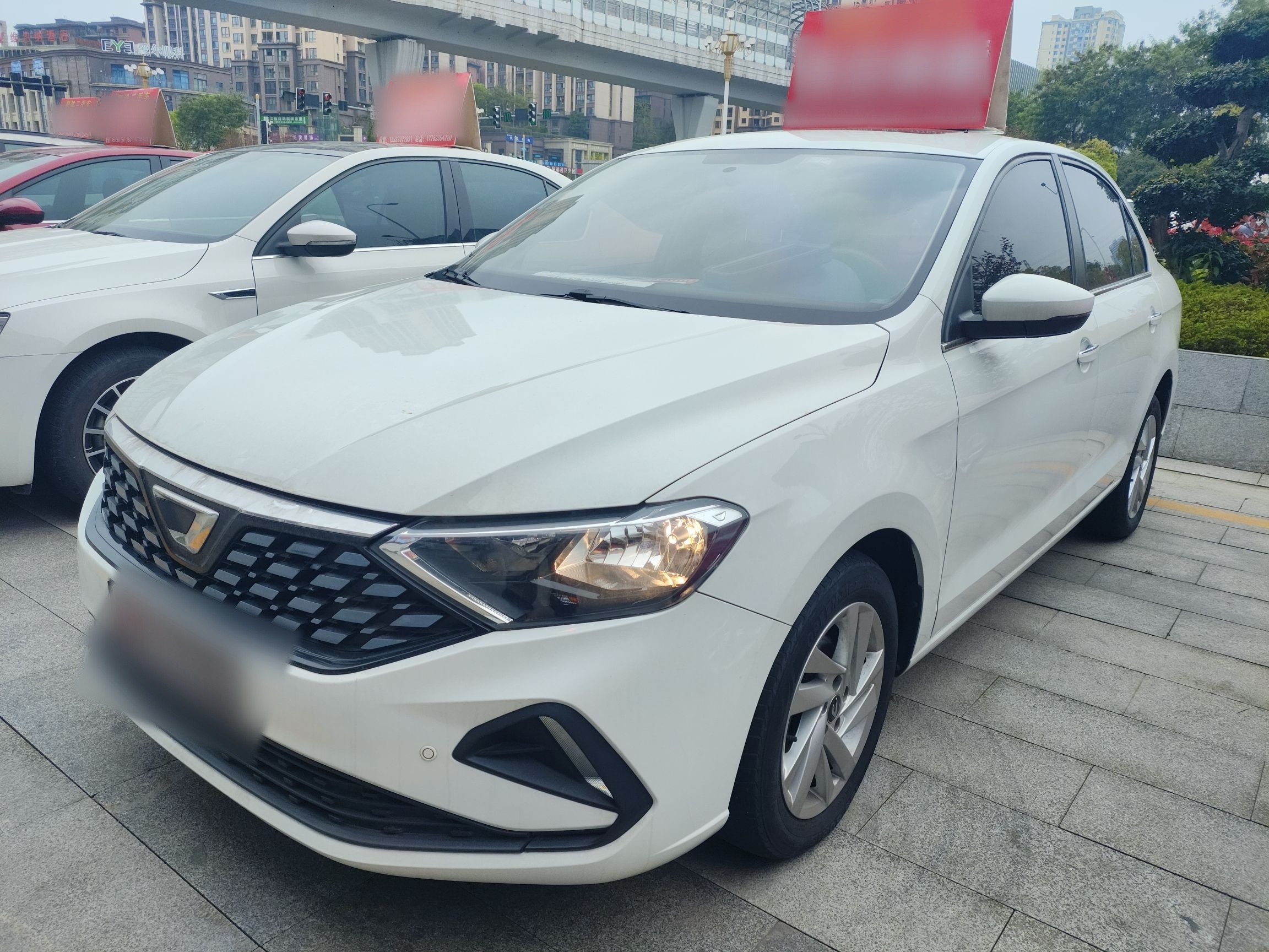 Parte inferior delantera