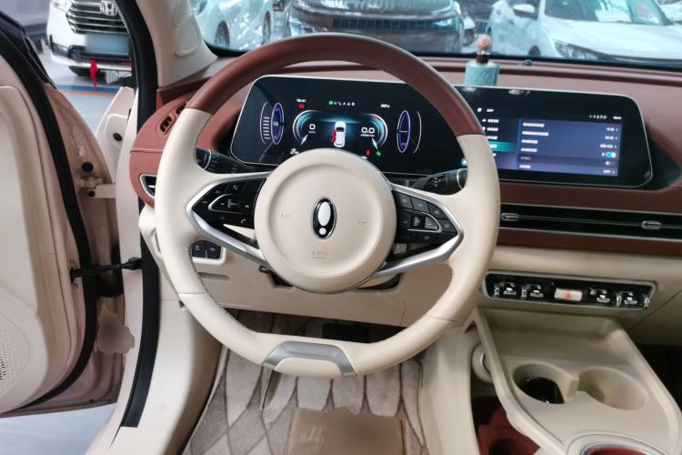 Used ORA Good Cat 2024 401 km Luxury Version