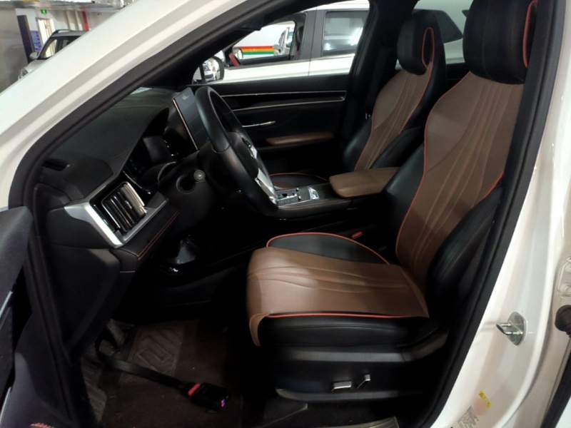 Used BYD Song PLUS 2020 1.5T Automatic Luxury Version — 14